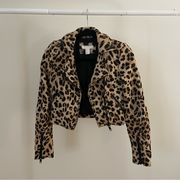 H&M | Cheetah Leopard Crop Motto Jacket Size 2/XS - Picture 1 of 6